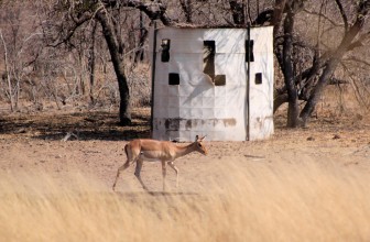 Guide For Hunting With A Longbow